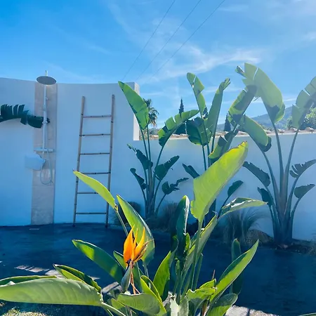 ヴィラ Casa Avellana デニア