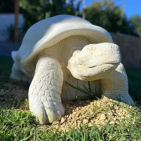 Casa Avellana * デニア